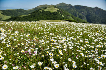 Balades et randonnées en pleine nature dans le nord de l’Iran 