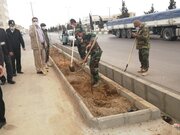 ۶٠ هزار نهال همزمان با هفته منابع طبیعی در دامغان توزیع می‌شود