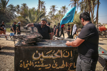 Arbaeen walk; Divaniyeh to Kufa route