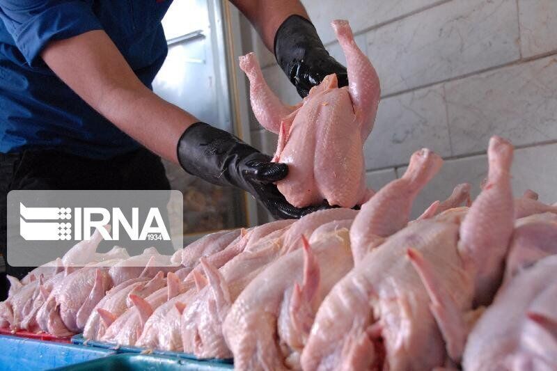 ۱۳۵ تن گوشت مرغ روزانه در استان مرکزی تولید می‌شود