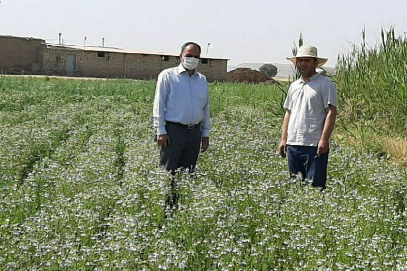 اخبار کوتاه از میاندوآب‌