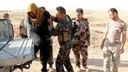 دستگیری شماری از تروریست‌ها در عراق
