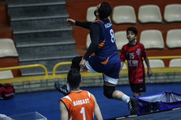 Liga Premier de Voleibol