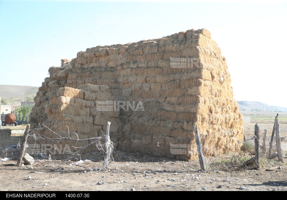 سفر رئیس‌جمهوری به استان اردبیل - بازدید از دشت فتحعلی