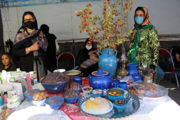 جشنواره آلو و پخت غذاهای محلی روستای حیدره قاضی خانی