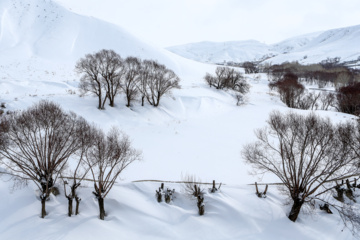 La beauté de la nature hivernale dans le village de Chibli, au nord-ouest du pays