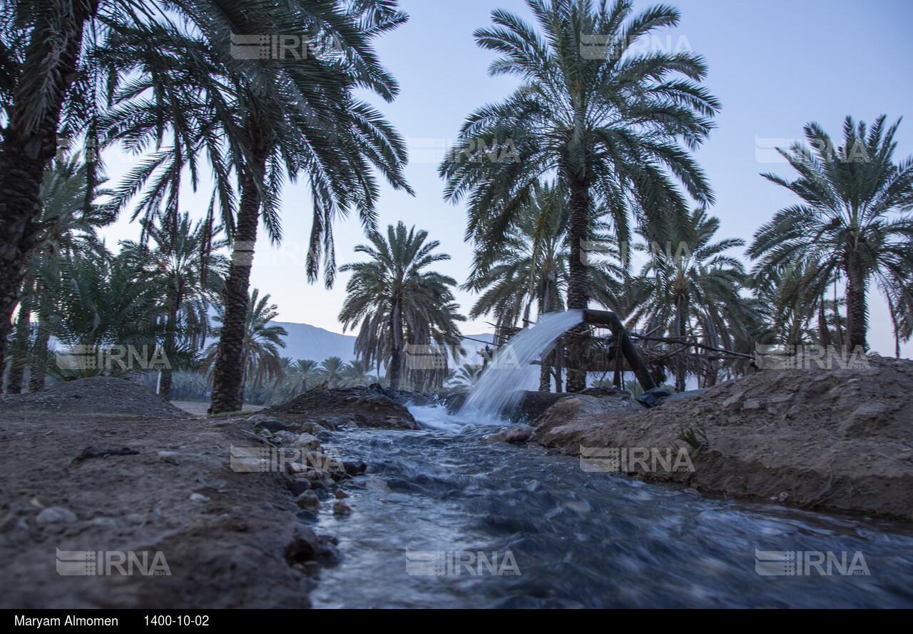 زندگی در بخش احمدی هرمزگان