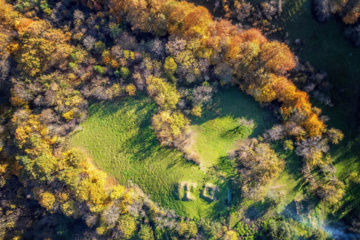 L'automne dans les forêts hyrcaniennes expose la magie de la nature dans chaque feuille. Le paysage intact et pittoresque de ces forêts en automne montre l'importance historique et la diversité végétale de ce trésor naturel iranien. 