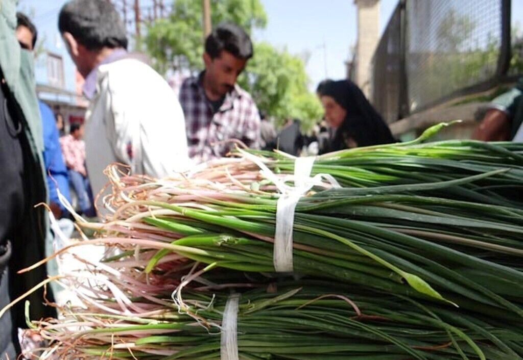 نوستالژی طبخ غذای محلی با گیاه کوهی 