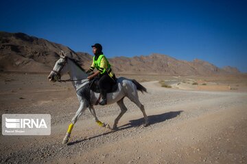 Endurance riding competition in Iran