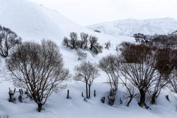 La beauté de la nature hivernale dans le village de Chibli, au nord-ouest du pays