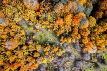 L'automne dans les forêts hyrcaniennes expose la magie de la nature dans chaque feuille. Le paysage intact et pittoresque de ces forêts en automne montre l'importance historique et la diversité végétale de ce trésor naturel iranien. 