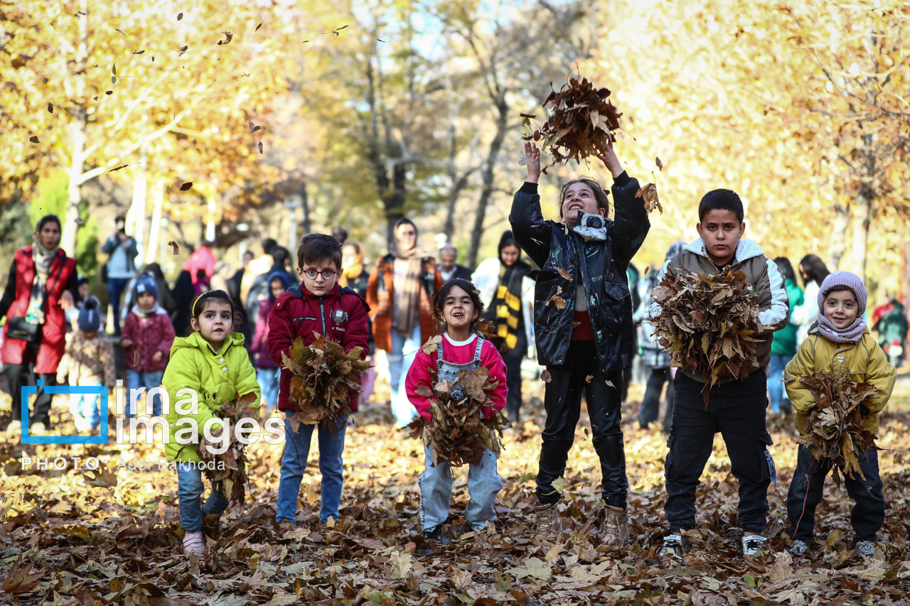 Fest der Blätter im Herbst