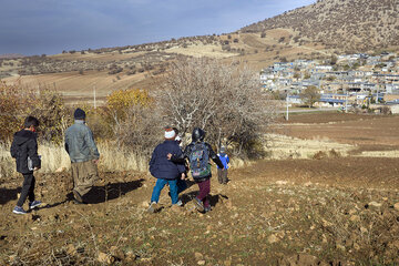 در جستجوی شبکه