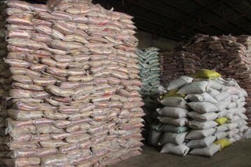 انبار احتکار برنج در بیرجند شناسایی شد
