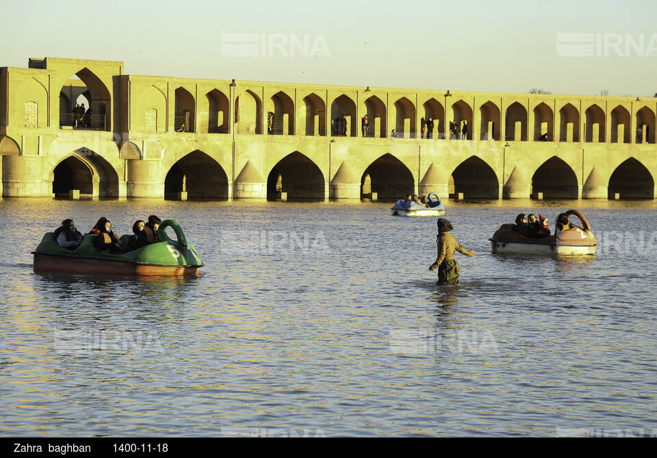 میزبانی زاینده رود از پرندگان مهاجر