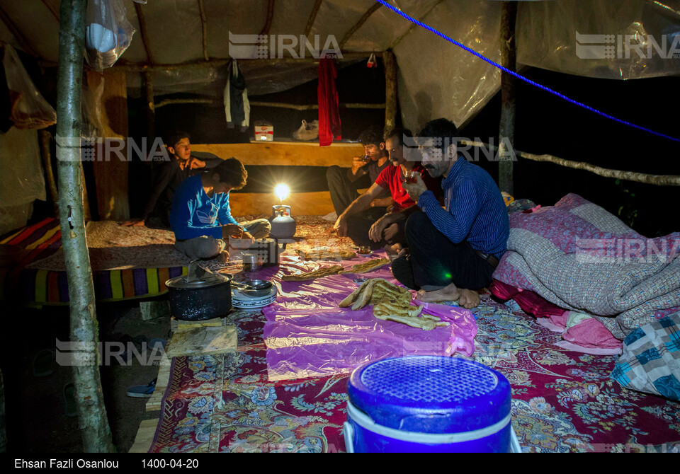 مشاغل فراموش شده؛ «چاربیداری» در مازندران