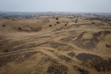 مالچ پاشی در خوزستان