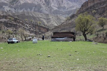 چادرزنی مردم در طبیعت بهاری ایلام