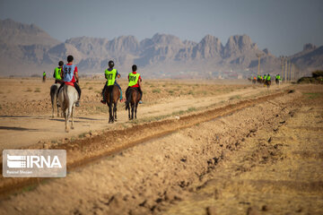 Endurance riding competition in Iran