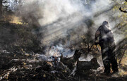 ۱۷ مورد آتش‌سوزی در عرصه‌های منابع طبیعی گلستان خاموش شد