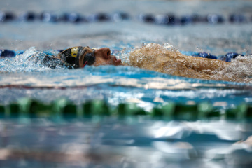 Des compétitions de natation à Téhéran 