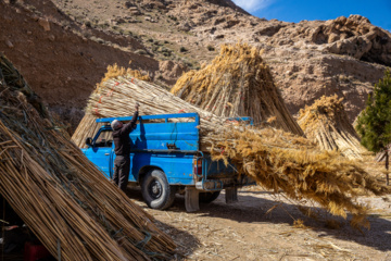 بوریابافی در زرقان فارس