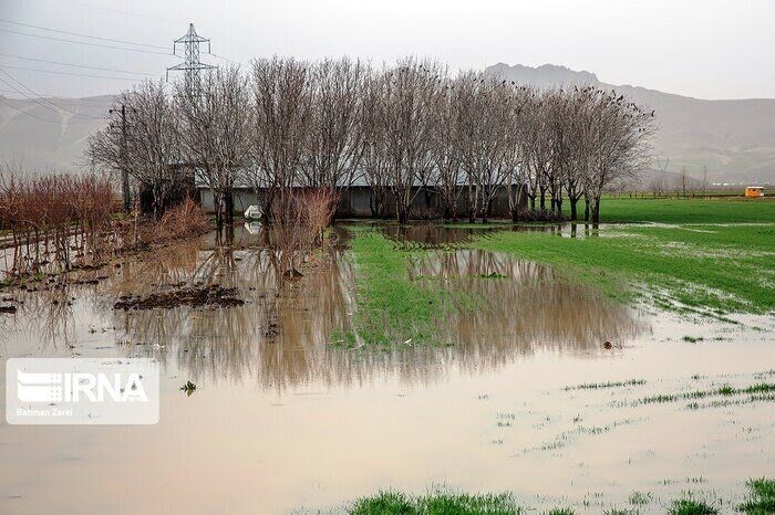 تلاش‌ها برای رفع مشکل بالا آمدن آب در فولادمحله استان سمنان