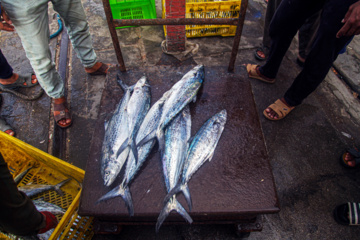 Le port de pêche de Kong au sud de l'Iran