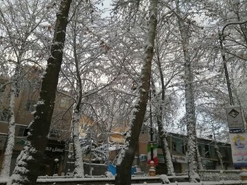 Snowy day in 1st days of winter in Tehran