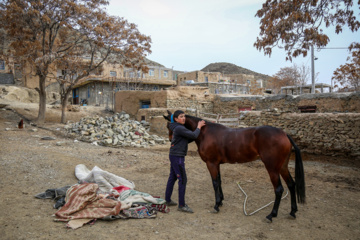 Caballo turcomano