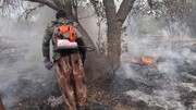 آتش سوزی به ۳۰۰ هکتار از جنگل ها و مراتع باشت خسارت زد