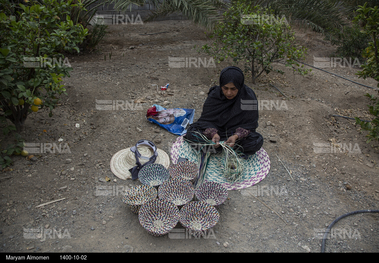 زندگی در بخش احمدی هرمزگان