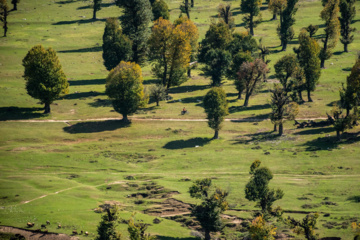 Iran: plaine de Markouh dans la province du Golestan au nord