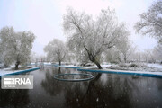 Snow covers Hamedan in autumn