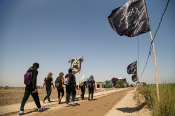 Arbaeen walk; Divaniyeh to Kufa route