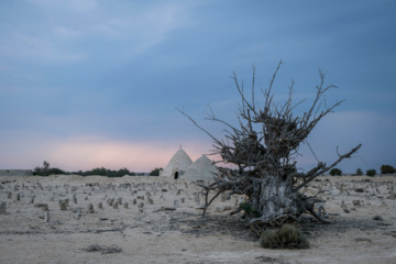 L'île de Hendourabi est une île iranienne du golfe Persique dans le sud du pays 