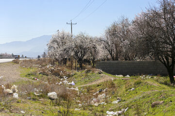 ردپای گردشگران در طبیعت روستای مهارلو