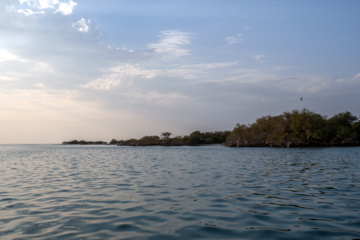 «خور تیاب» زیستگاه پرندگان مهاجر