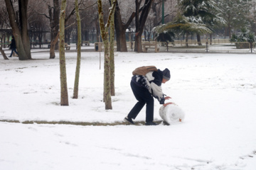 Les images des chutes de neige à Qazvin