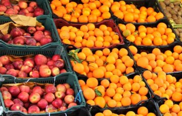 ۸۰۰ تن سیب و پرتقال در خراسان جنوبی ذخیره می‌شود