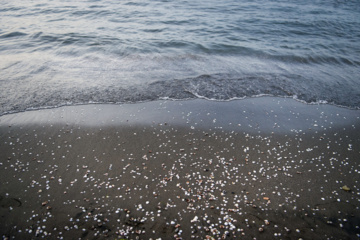 Vacances & loisirs en bord de mer Caspienne 