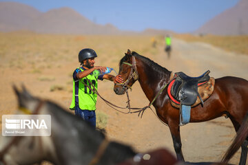 Endurance riding competition in Iran