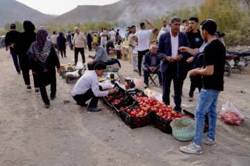 جشنواره انار روستای نمهیل