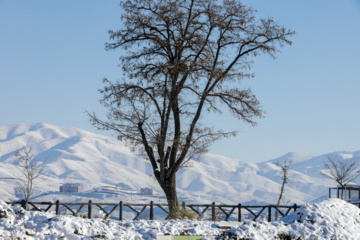 Iran : chute de neiges à Sanandaj 