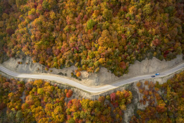 Espectáculo de color cuando el otoño llega a Mazandarán