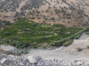 طبیعت زیبای بخش کلاشی