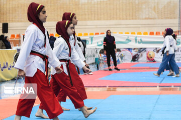 مدیرکل ورزش: بانوان ۴۵ درصد ورزشکاران کرمان را تشکیل می‌دهند