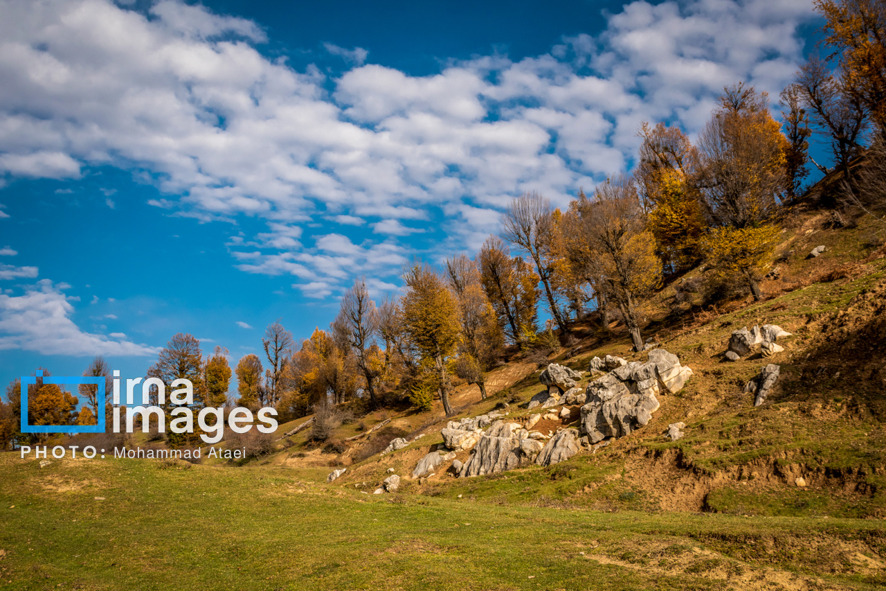 Осень на равнине Маркух