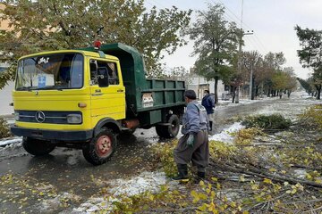 هرس درختان معابر مهاباد پس از بارش برف سنگین برف